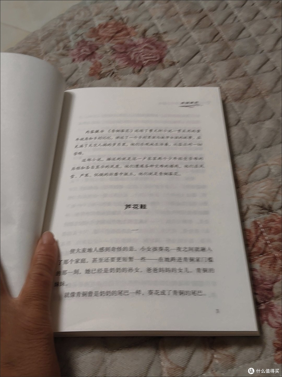 国庆假期阅读草房子的温暖力量