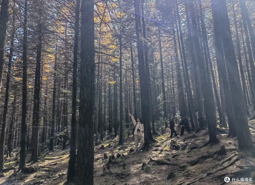 国庆赏秋推荐山西忻州芦芽山!不输内蒙