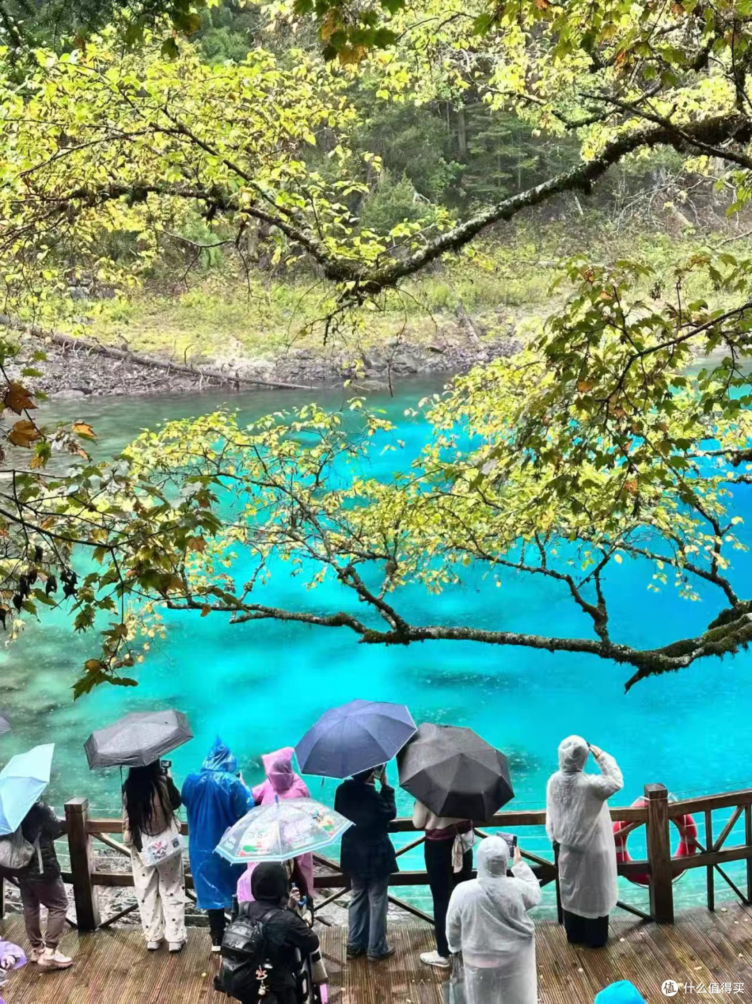 雨中漫步塔尔寺的沉静与安宁