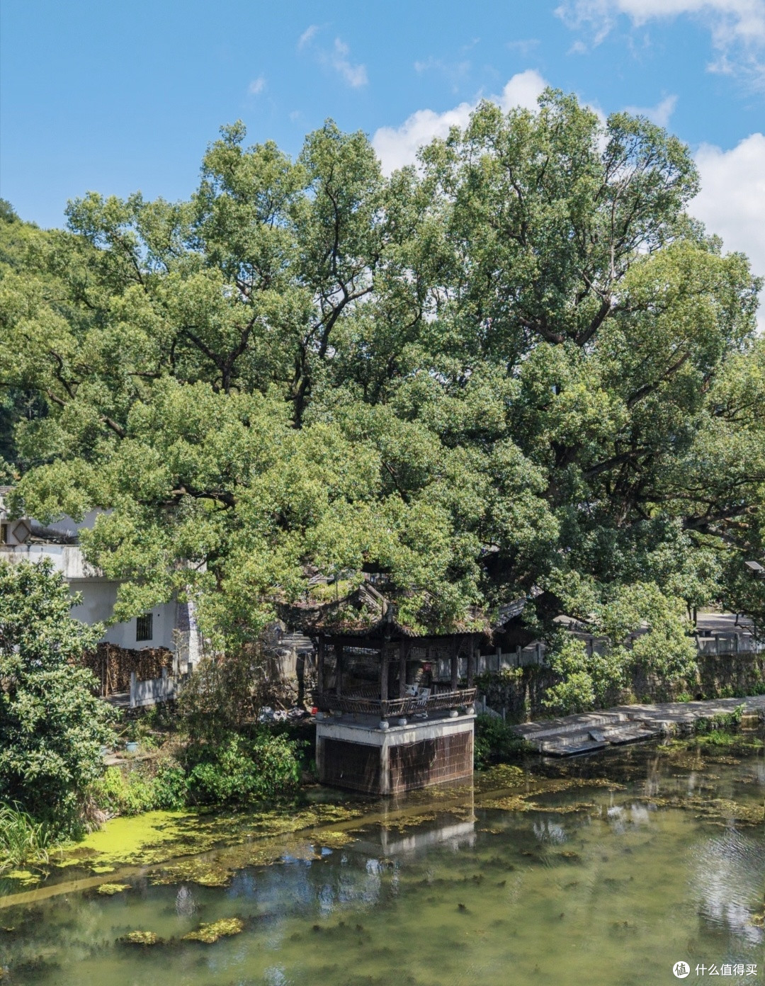 双节逃离人潮|徽州冷门古村3天路线!免门票直接抄