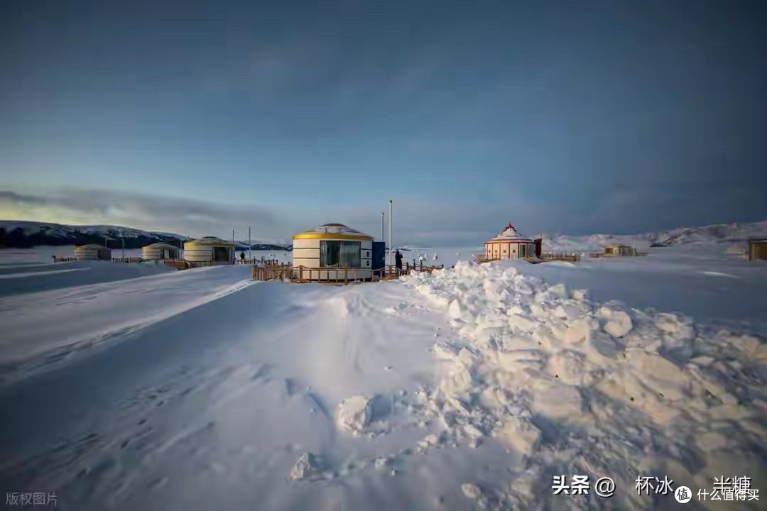 2026淡干海参品牌怎么选 从产地到标准的五步思考框架