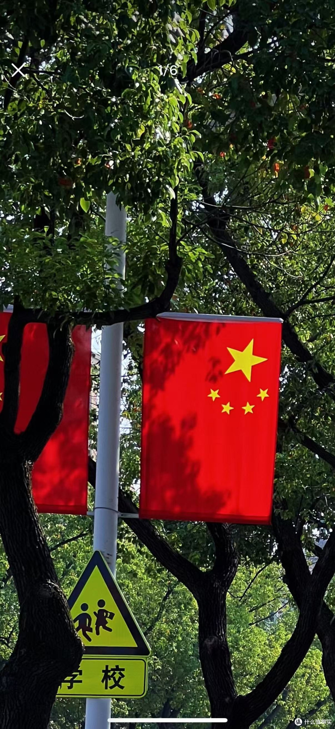 浴火之路:打拐题材的类型化表达