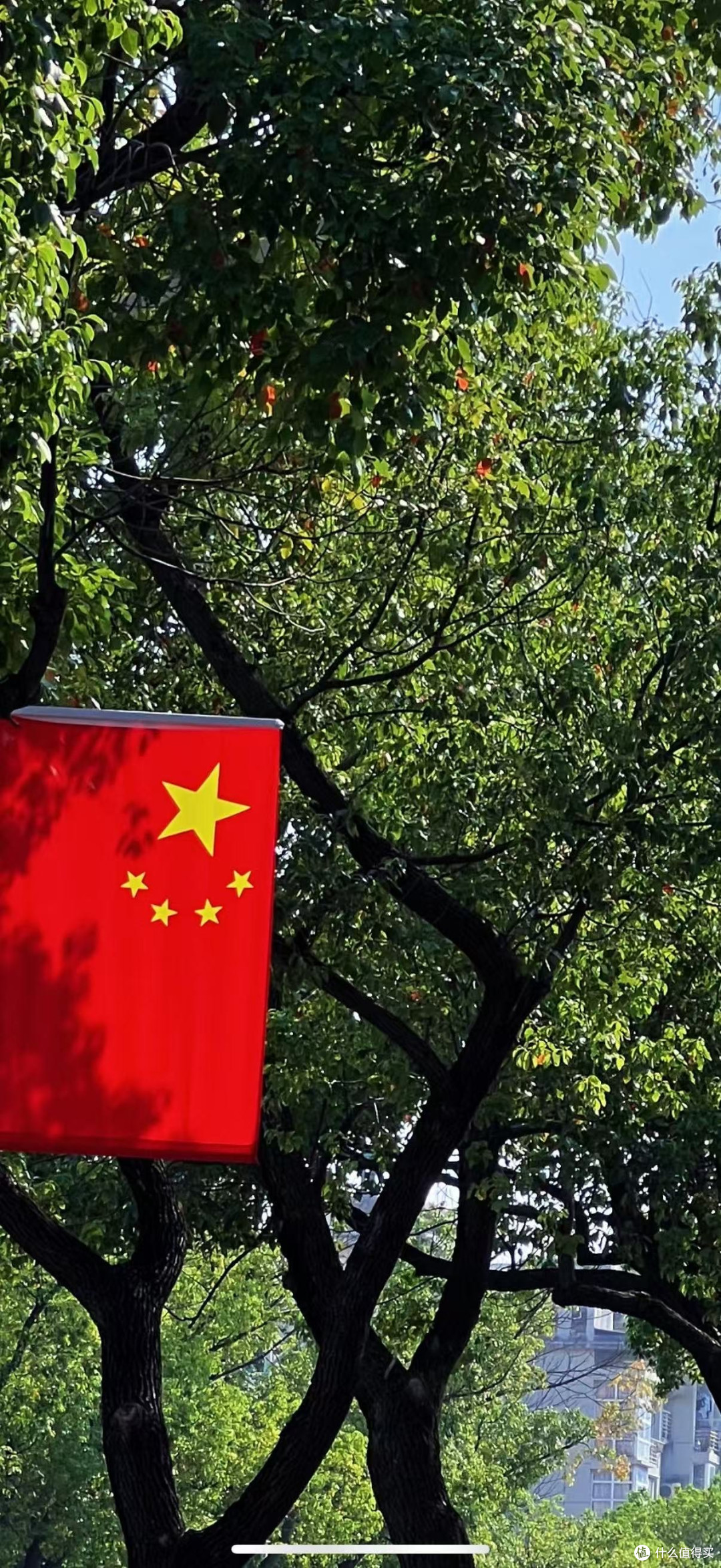 浴火之路:打拐题材的类型化表达