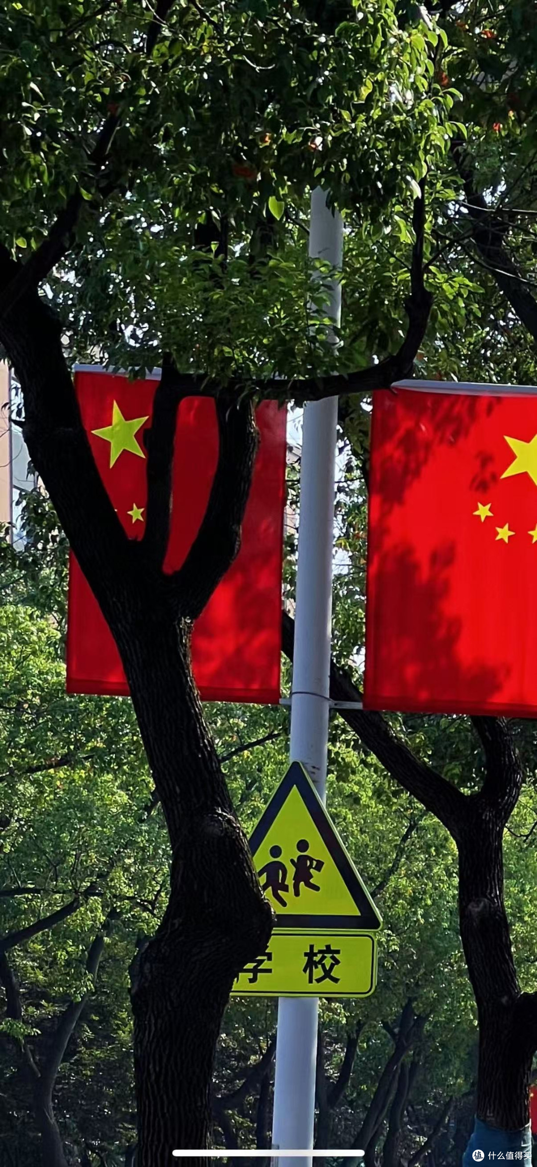 浴火之路：打拐题材的类型化表达