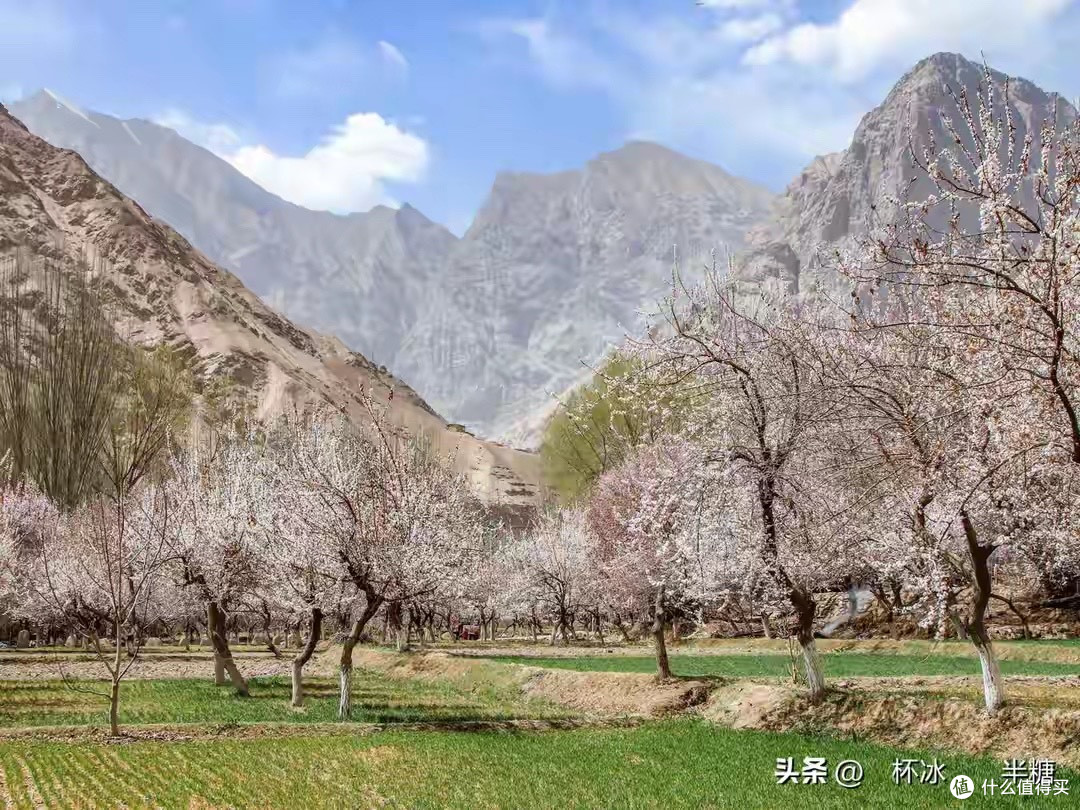 驼奶粉低GI和低GL有什么区别？购买时不要只看一个指标