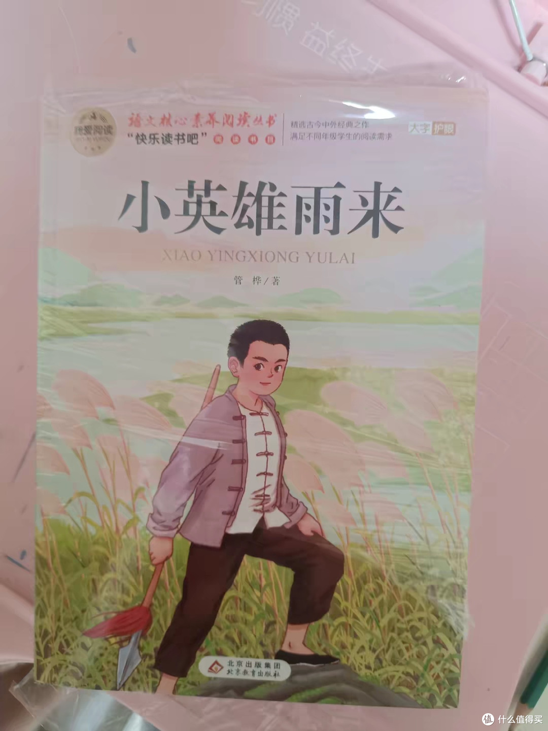 双节品读小英雄雨来红色经典