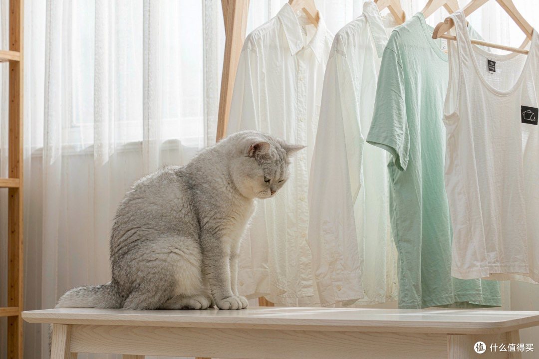 猫与晾晒衣物