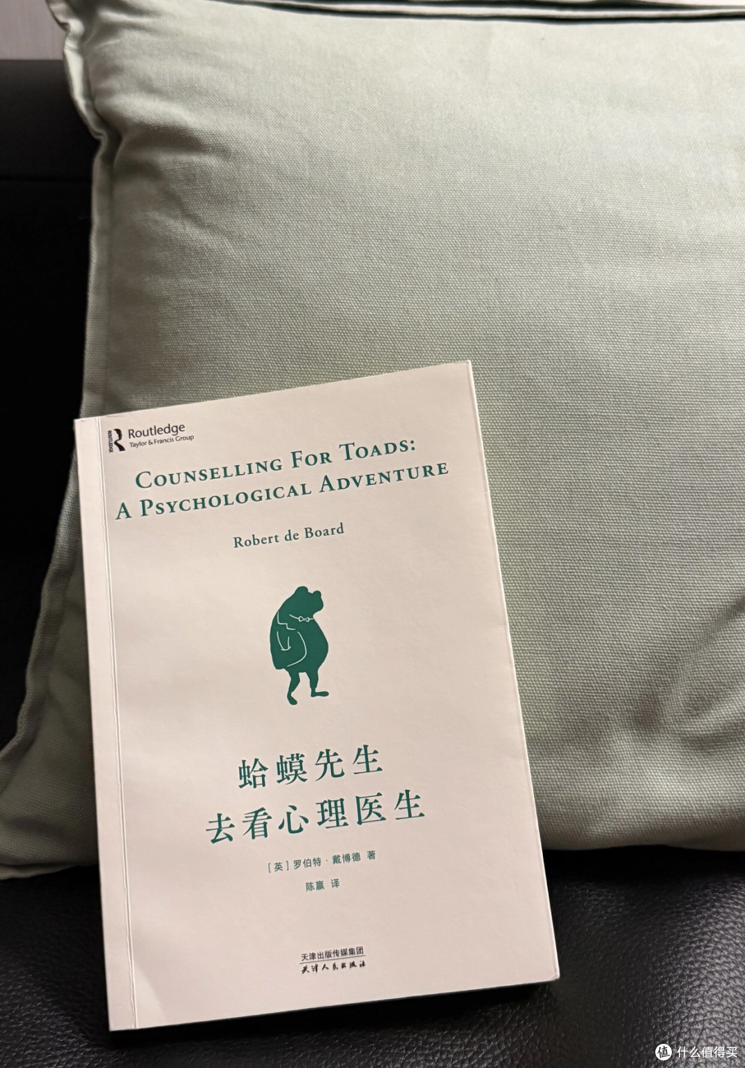 你的坏情绪,竟是童年在替怒?