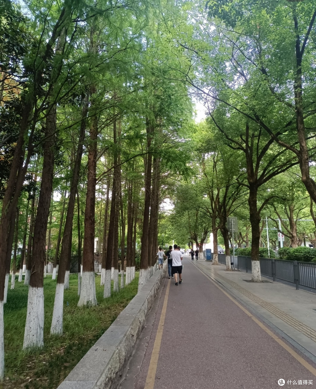 双节错峰游长沙岳麓山:小众玩法+高性价比住宿攻略