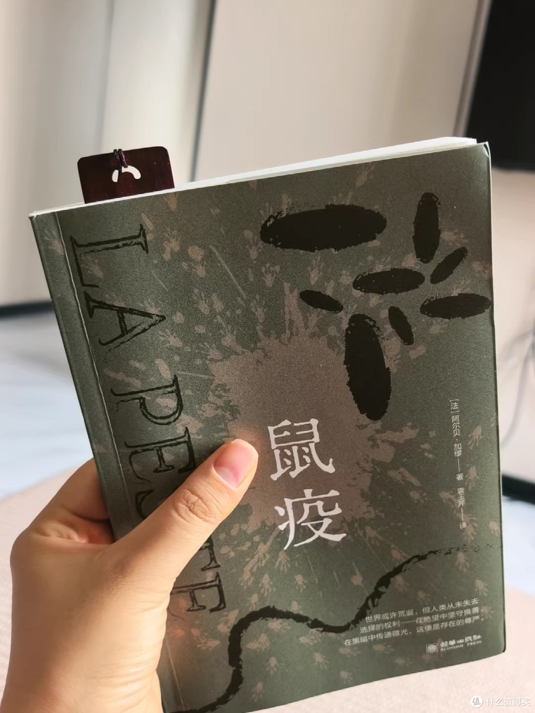 封城第八天,我翻开了加缪的预言
