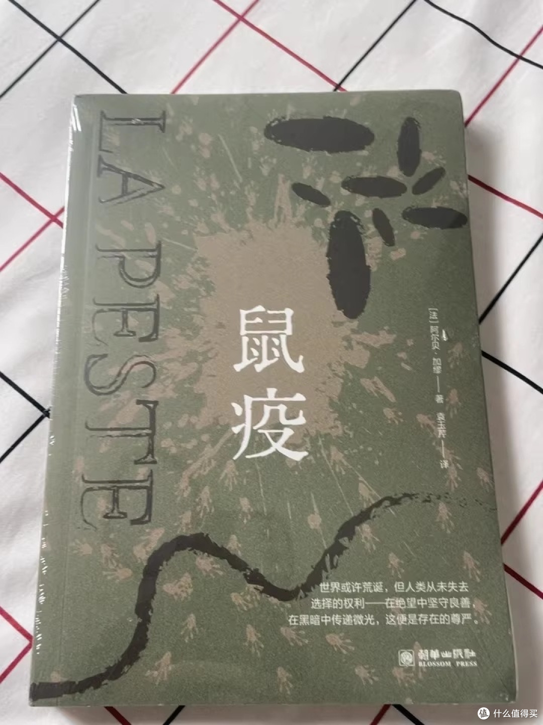 双节读《鼠疫》:疫城微光里,凡人如何用责任抗荒诞