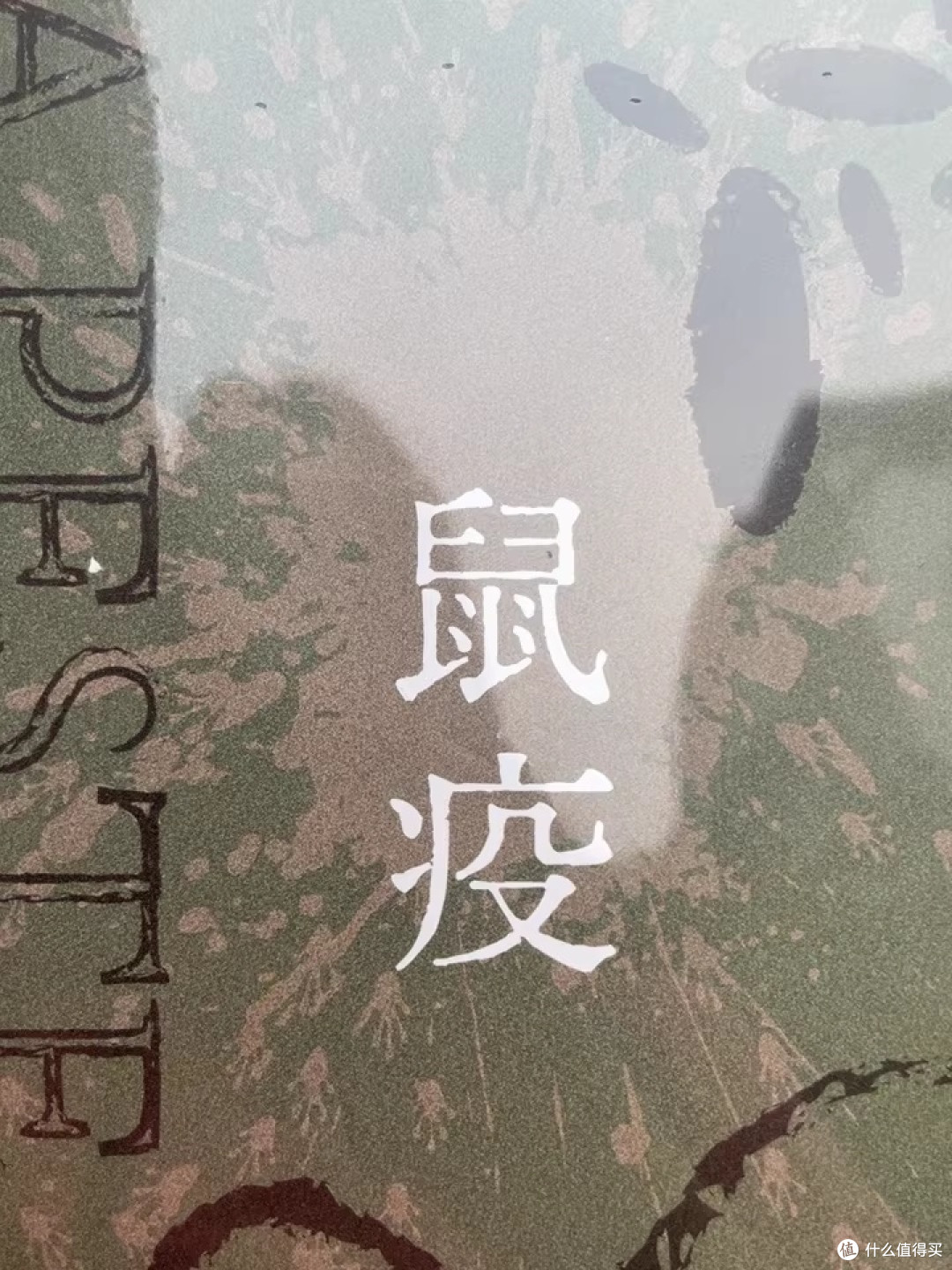 围城疫里守微光:双节读加缪《鼠疫》