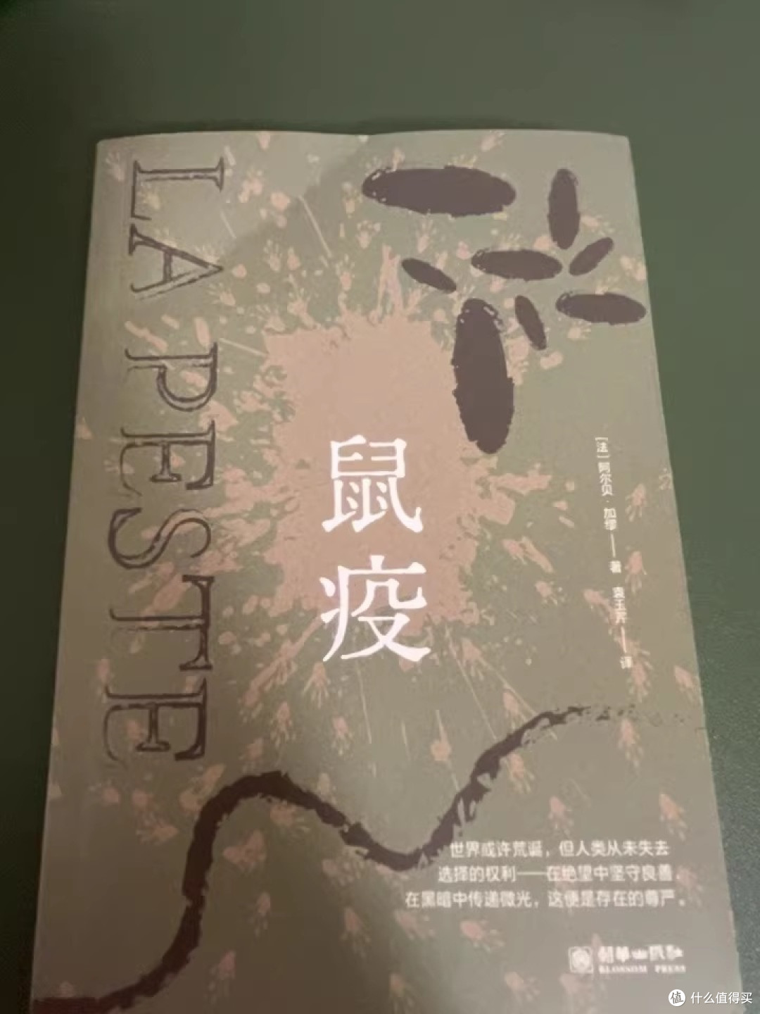 围城疫里守微光:双节读加缪《鼠疫》