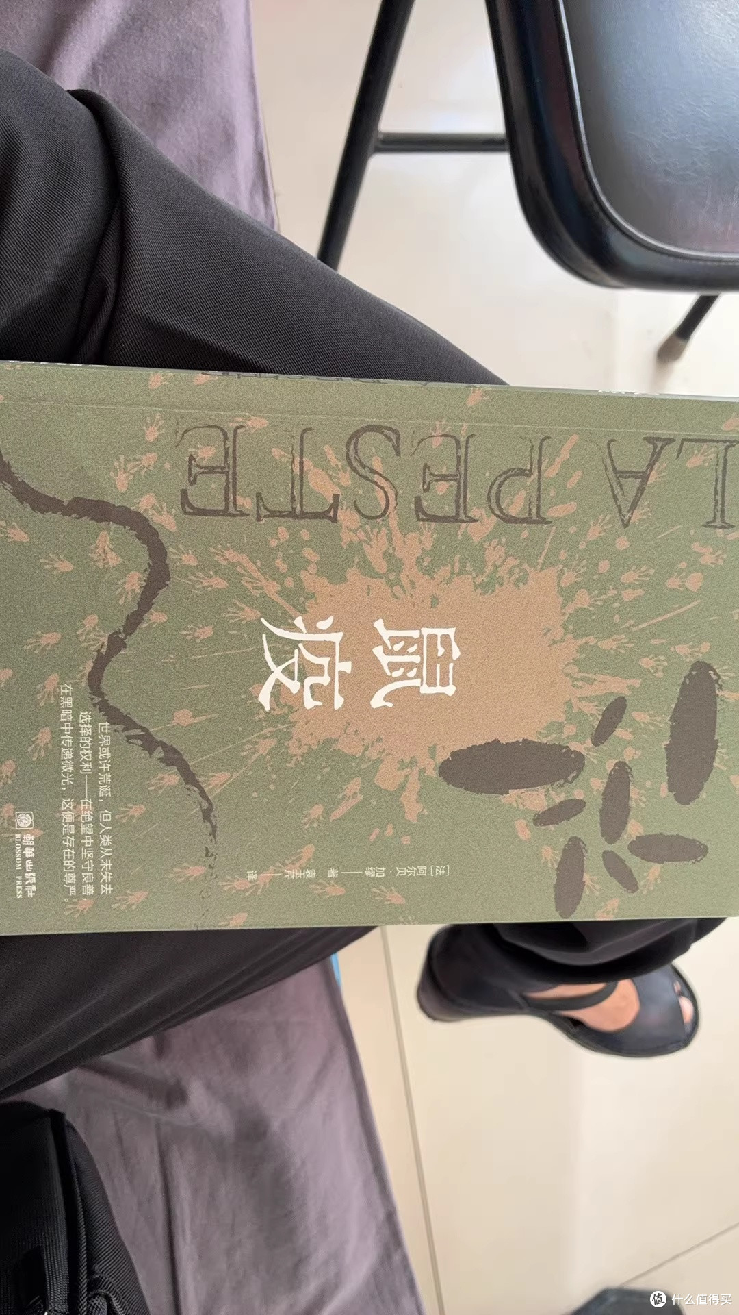 双节围读《鼠疫》:在荒诞疫城里守一束人间微光
