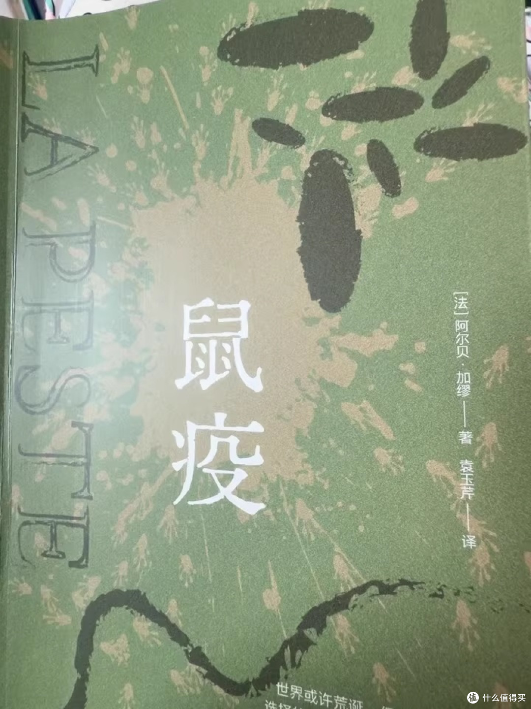 双节灯下读《鼠疫》:以凡人之肩,抗命运之疫