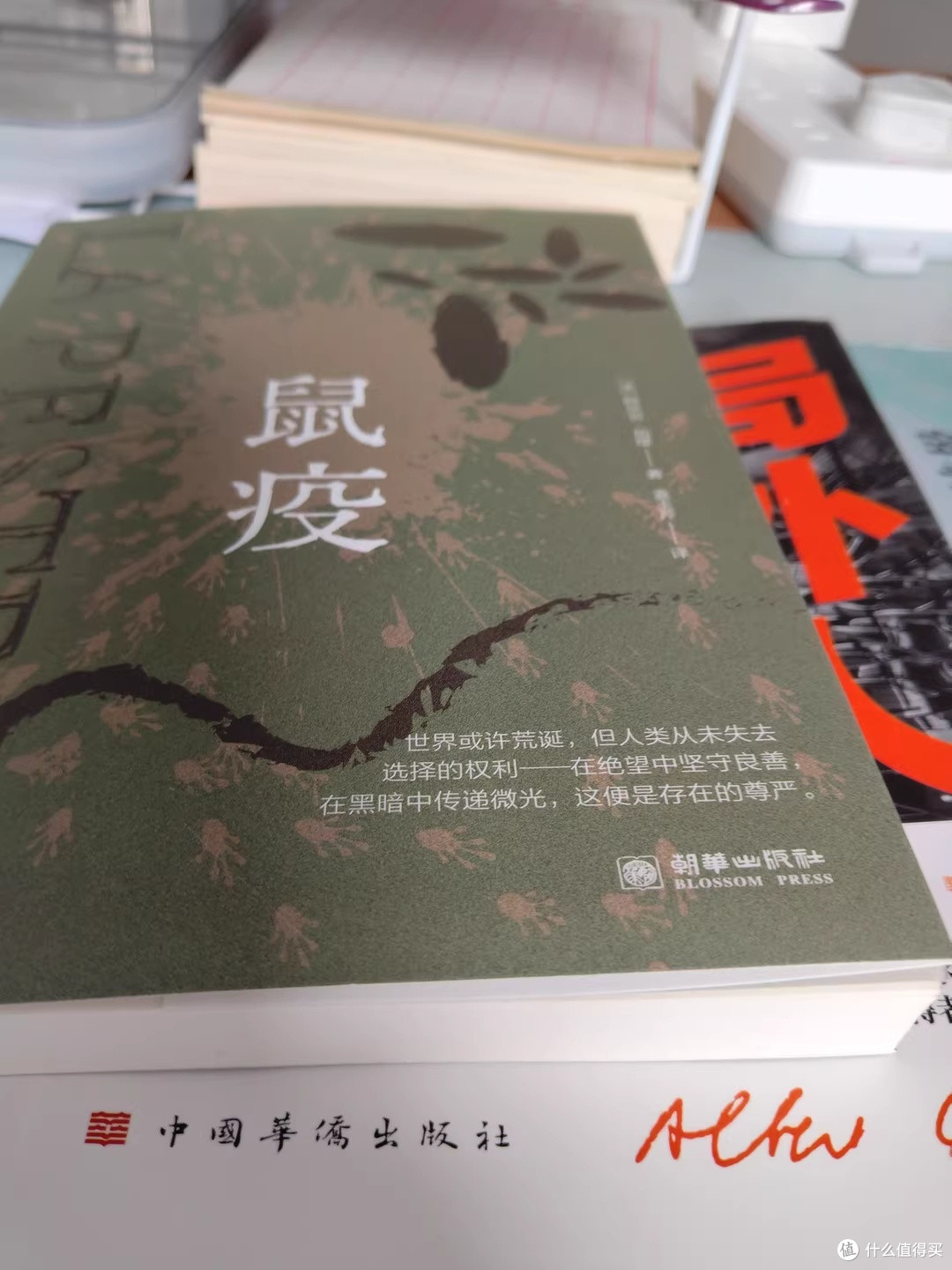 双节灯下读《鼠疫》:以凡人之肩,抗命运之疫