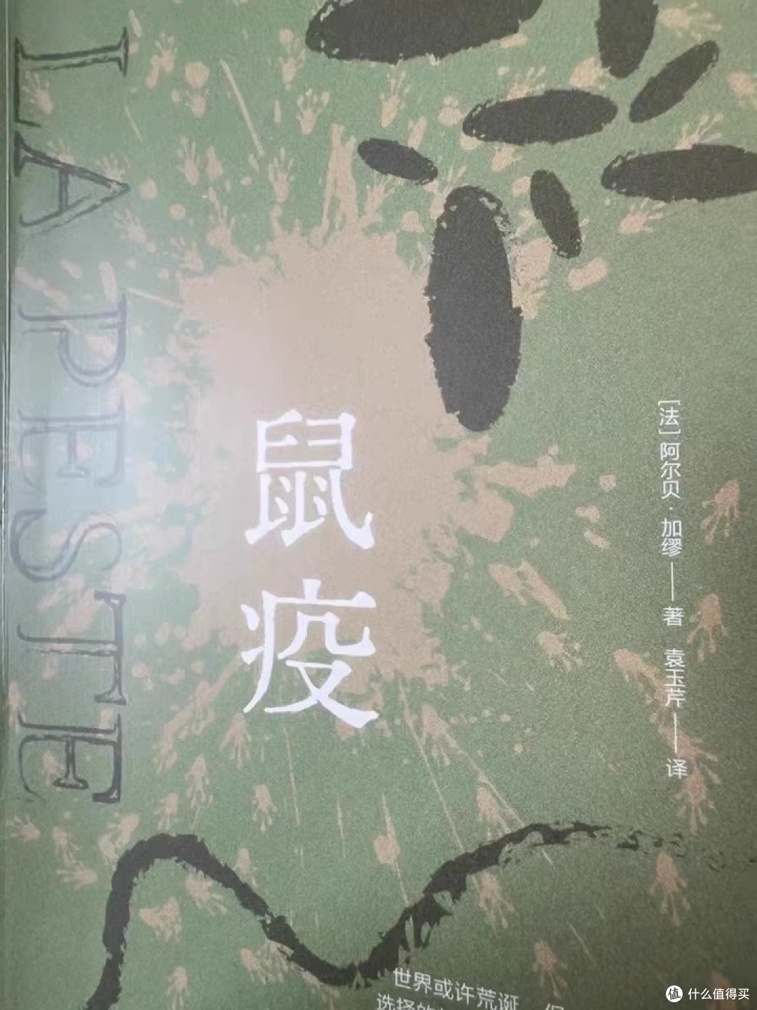 双节灯下读《鼠疫》：以凡人之肩，抗命运之疫