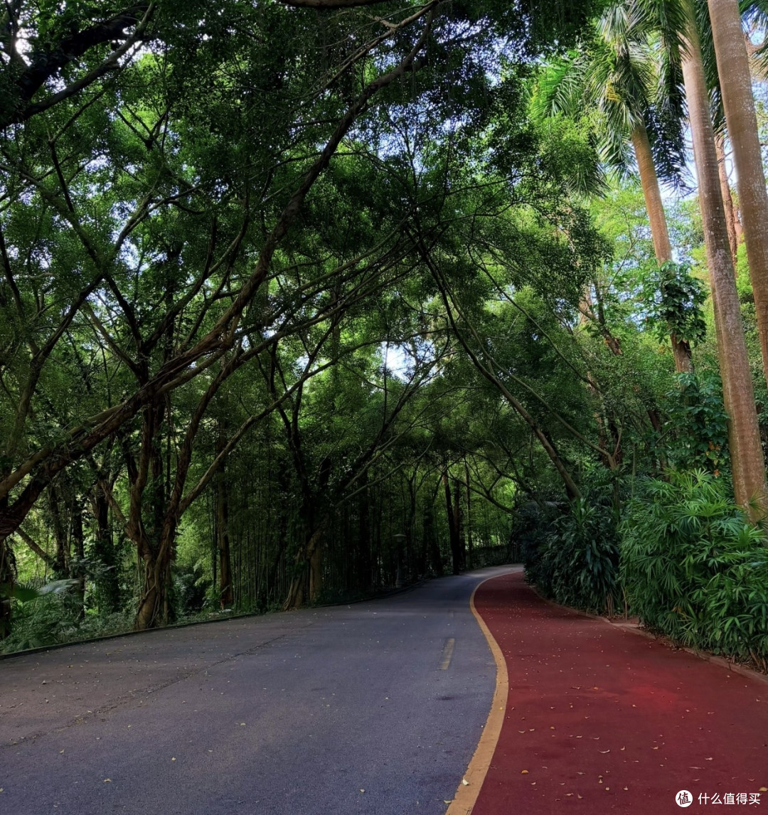 双节错峰游南宁青秀山｜小众打卡点+高性价比住宿攻略


