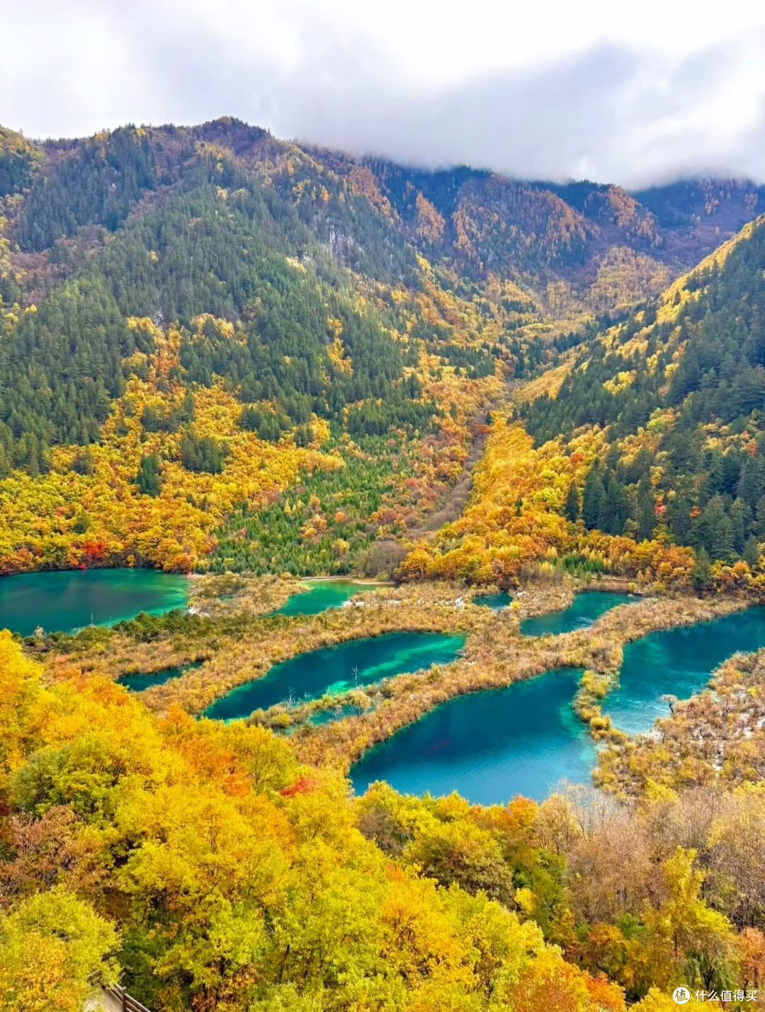 带娃赴川西体验纯粹亲子陪伴