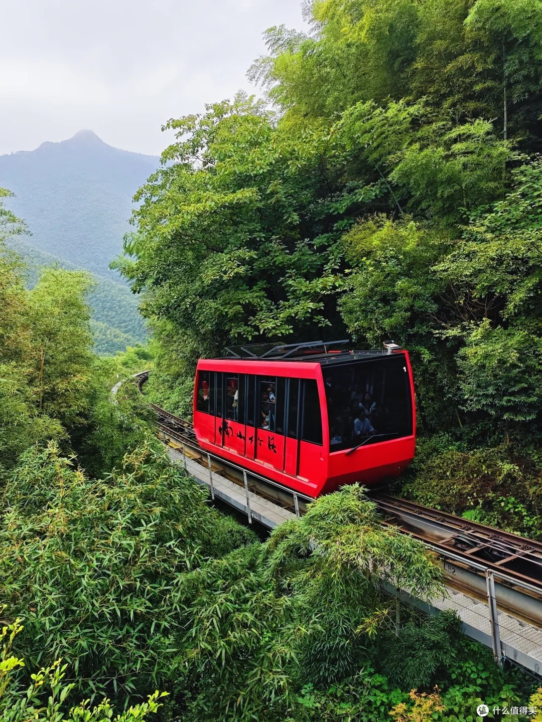 江浙沪亲子短途|南山竹海 2 天 1 晚,躺平式吸氧遛娃全攻略