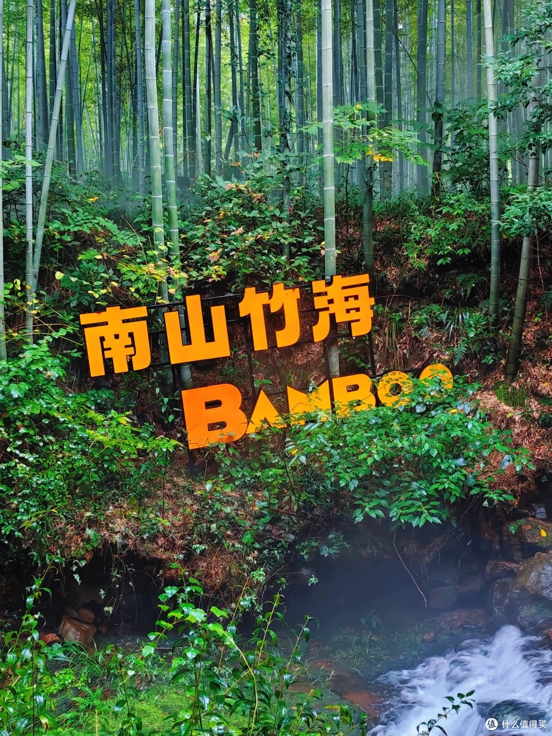 江浙沪亲子短途|南山竹海 2 天 1 晚,躺平式吸氧遛娃全攻略