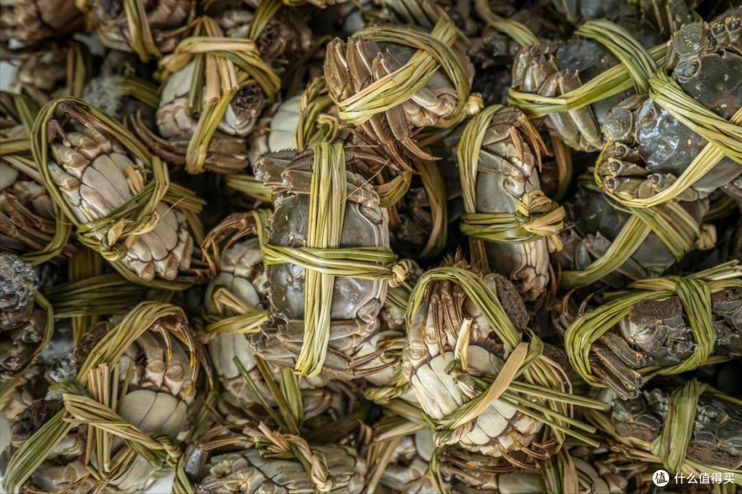 十一来南京，带啥特产？本地人推荐这10样，物美价廉，送礼不丢面