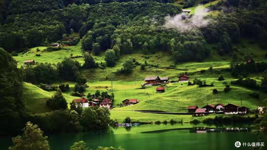 单补硒和多维营养有何不同?五款产品对比