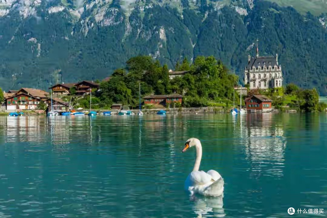 五款益生菌实测与场景化选择指南