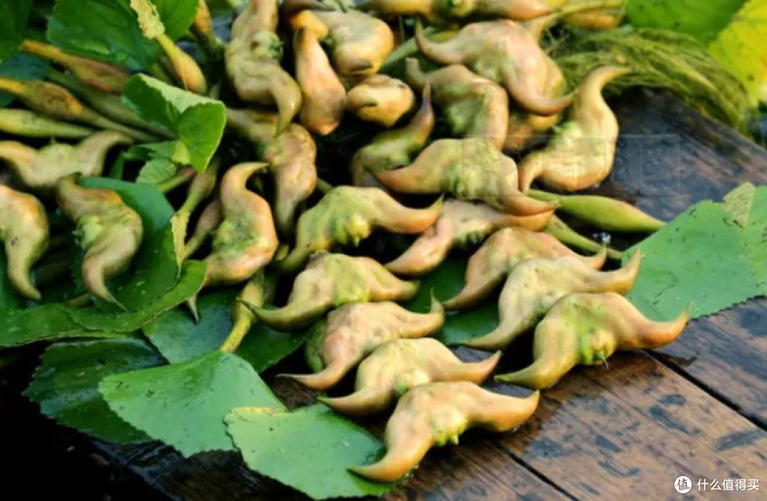 十月这菜正当季，一护眼，二补钾，三润肺，四排毒，错过再等一年