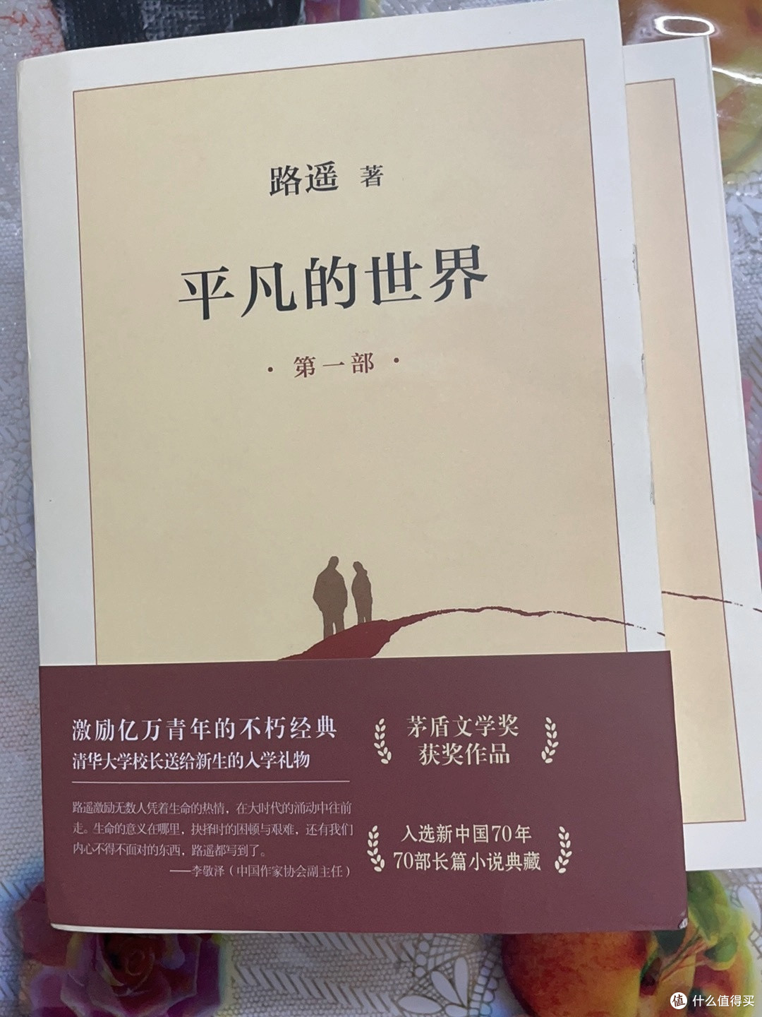 平凡的世界,永不褪色的阅读首选