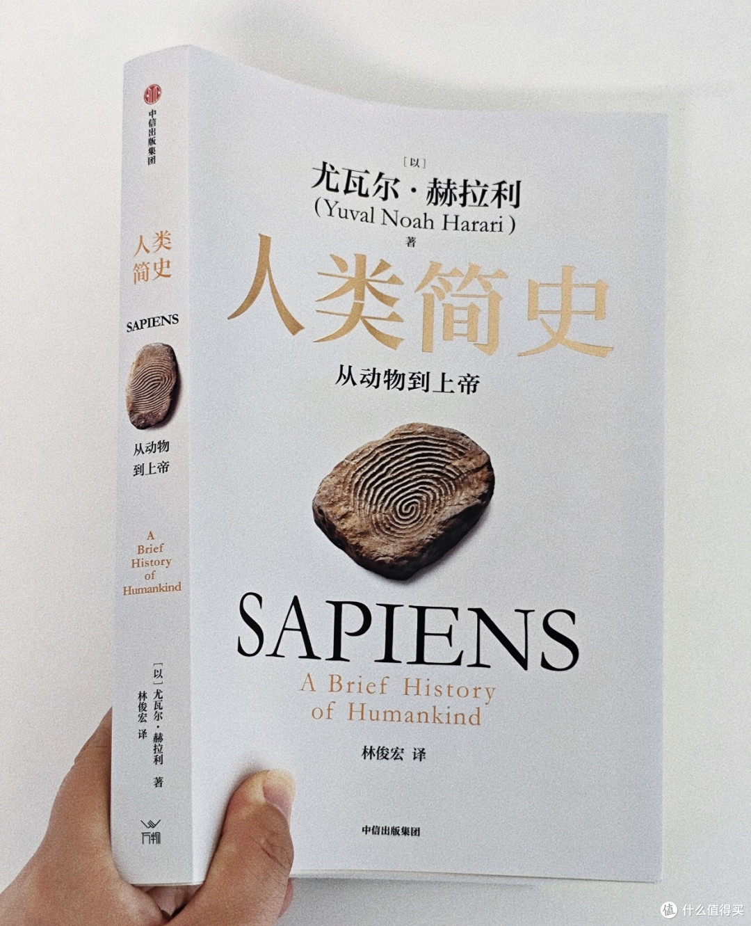 如何用十万年视角治愈当下焦虑