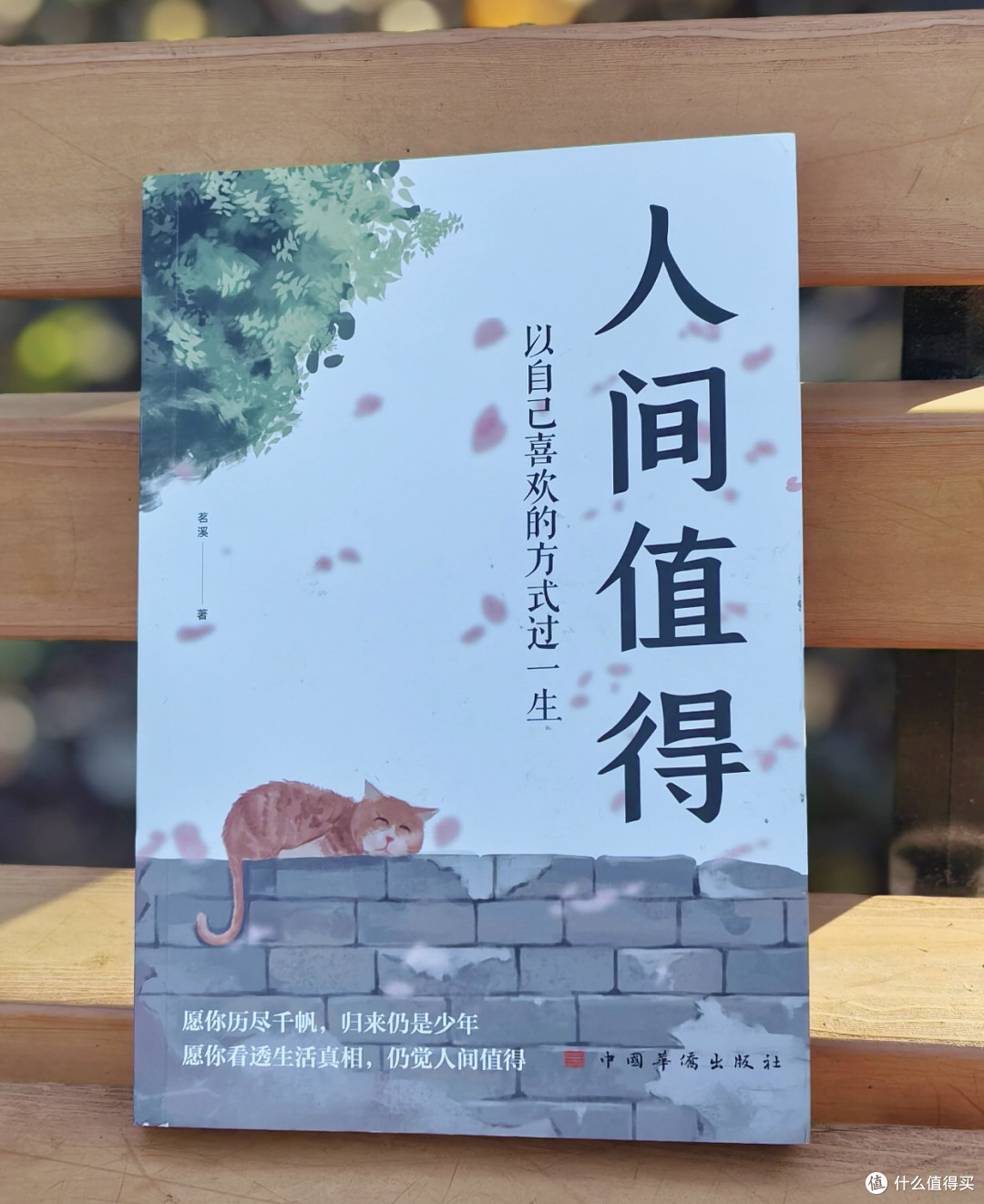 从必须努力到人间值得的心态转变