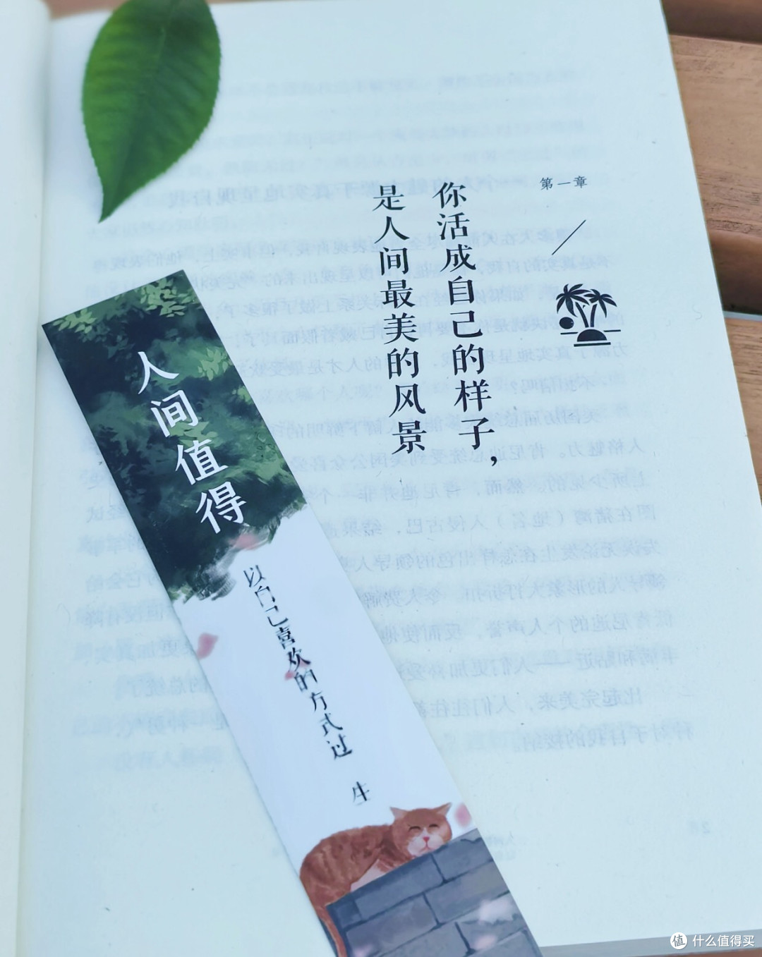 从必须努力到人间值得的心态转变