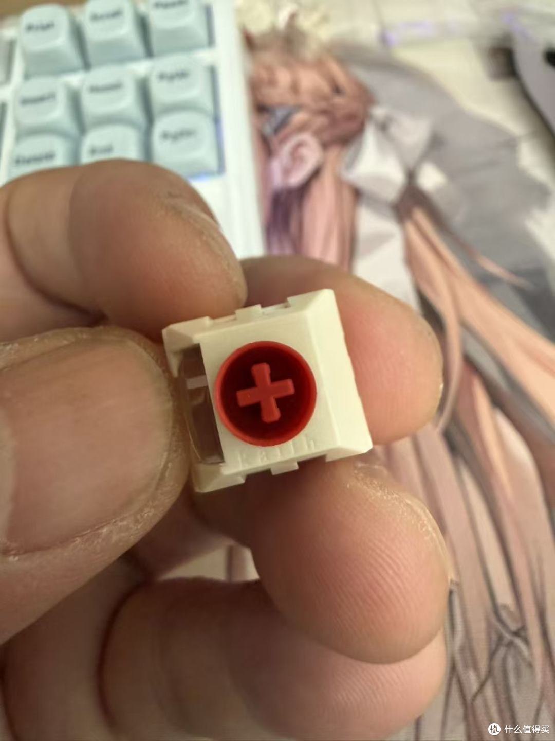 轴体展示
