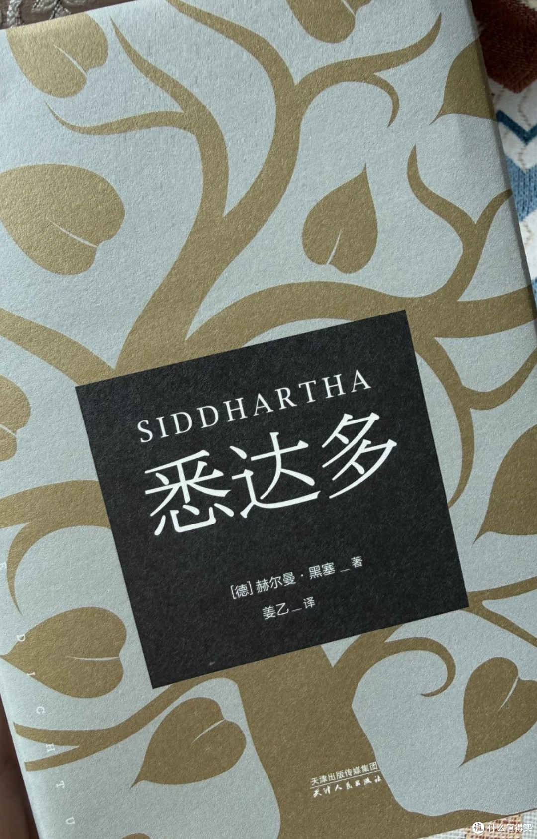 避开人潮在沙发里完成的阅读
