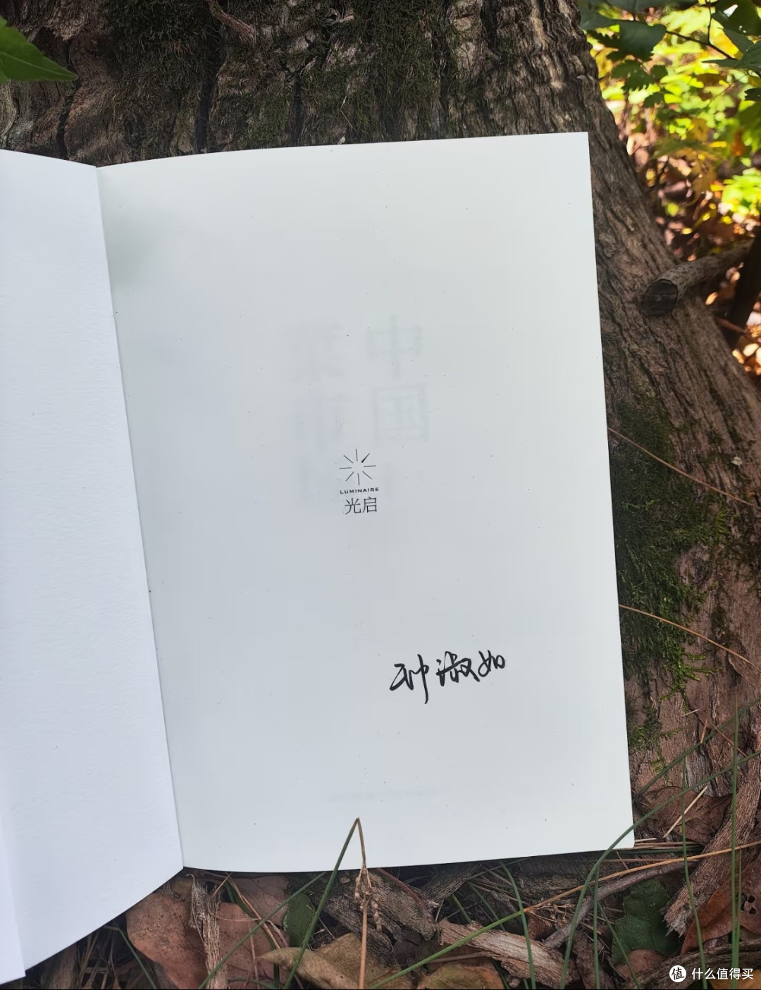 菜市场里,藏着一座城市最温柔的底色