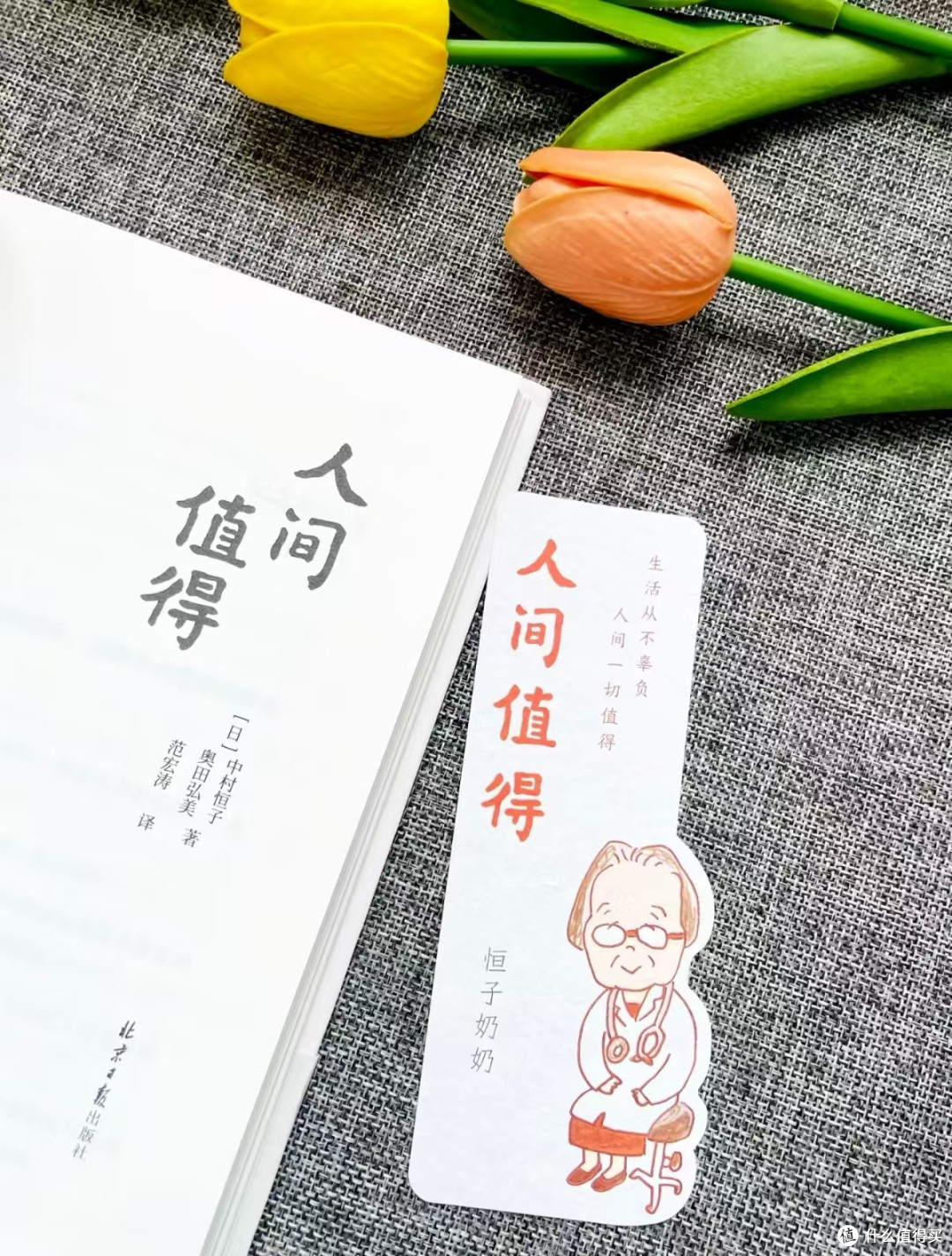 《人间值得》:愿所有疲惫的成年人,都与生活温柔和解