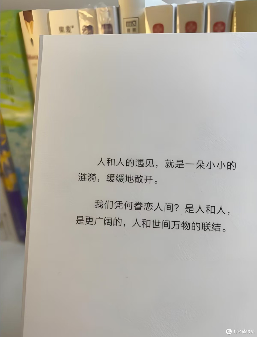 读完这本书,我不再觉得自己孤单