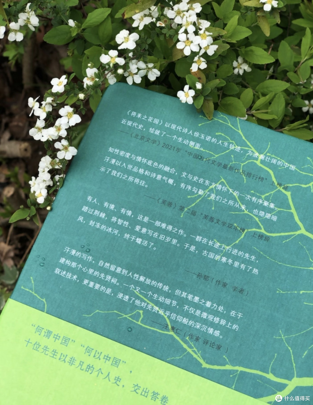双节读《与谁同坐》:明月清风,皆为知己