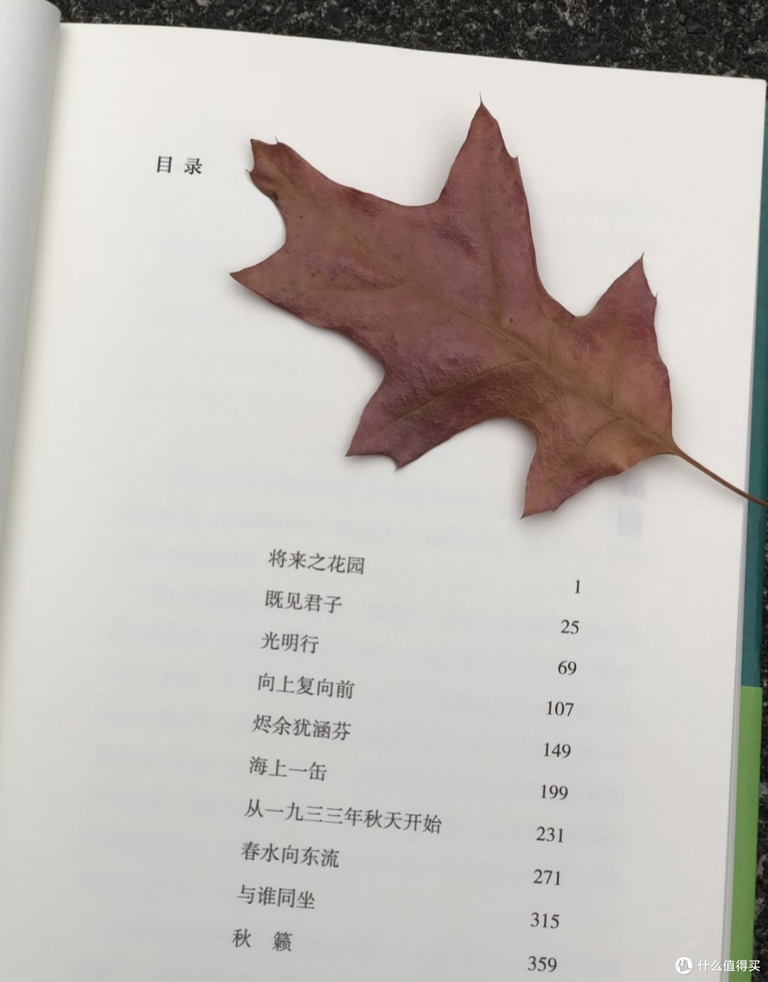 双节读《与谁同坐》:明月清风,皆为知己