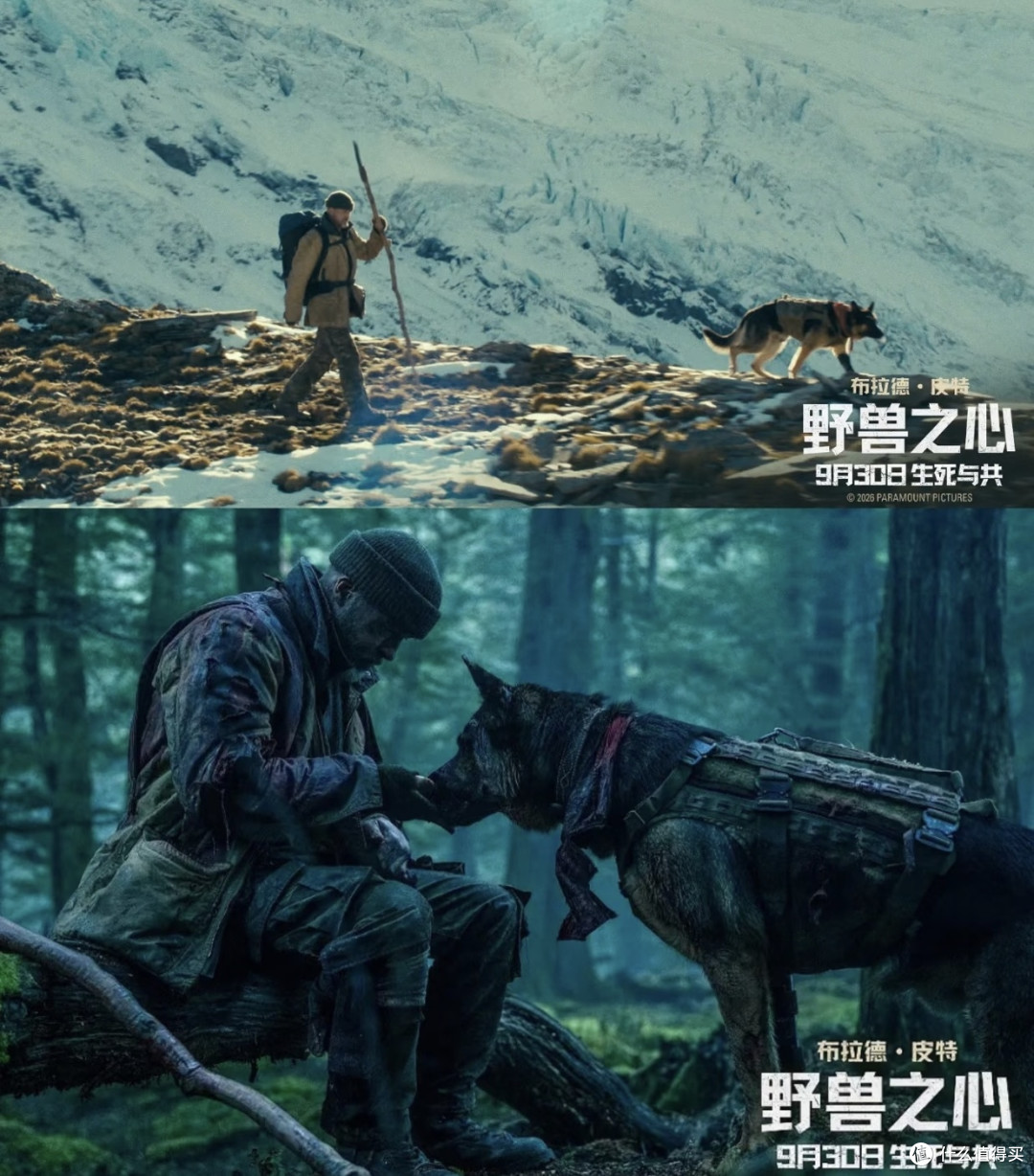 国庆档3部高分电影推荐｜剧情亮点与观影避雷指南