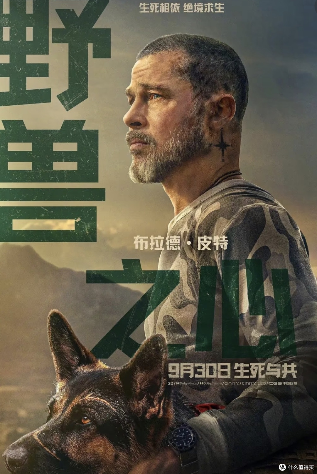 国庆档高分电影合集推荐｜剧情亮点与观影避雷指南