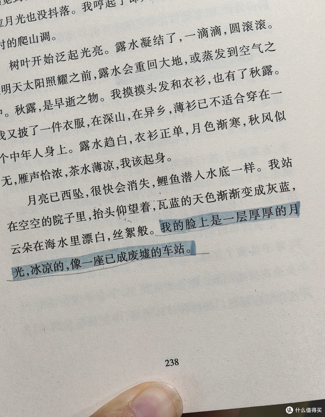 开工前的休闲一刻｜长假读完《深山已晚》，把山野的宁静带回日常