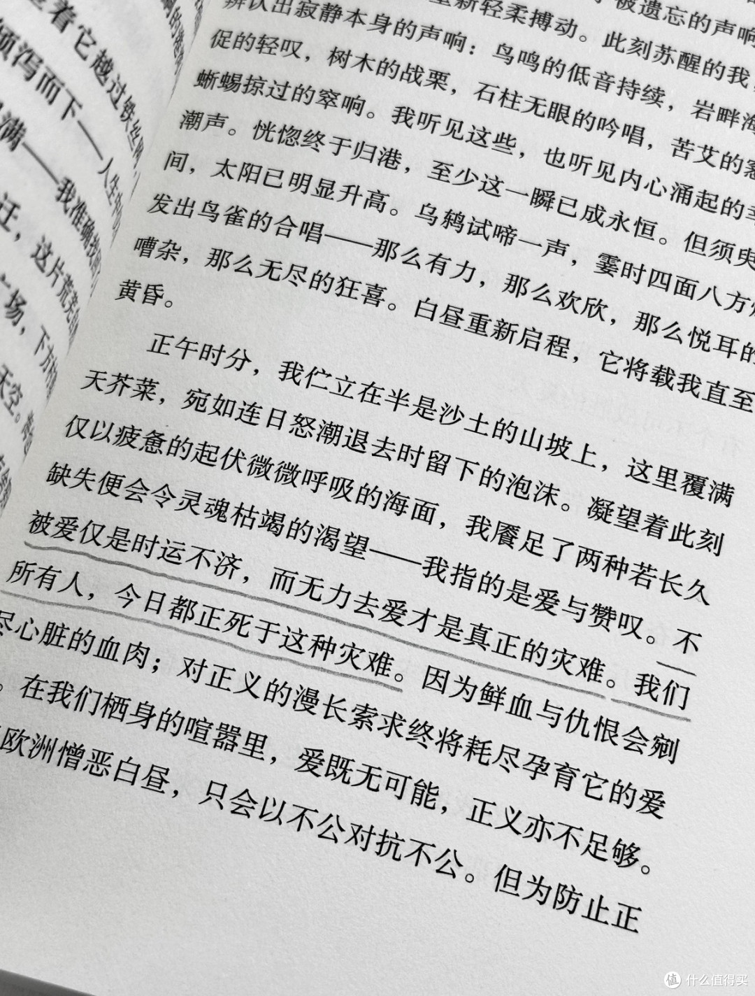 假期慢读|在长假时光里遇见《我身上有个不可战胜的夏天》