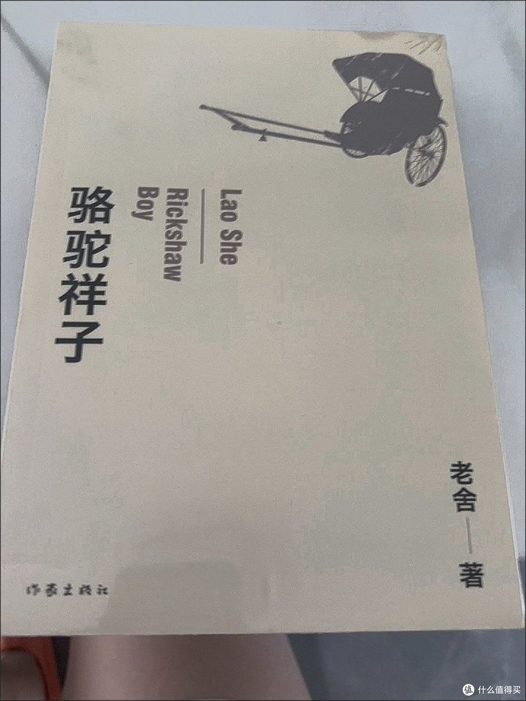 重读骆驼祥子:普通人的生存困境