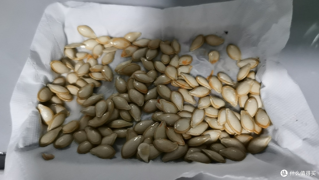 南瓜籽