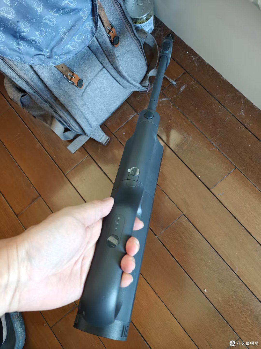 猫狗家庭除毛实战!用吸尘器3分钟搞定