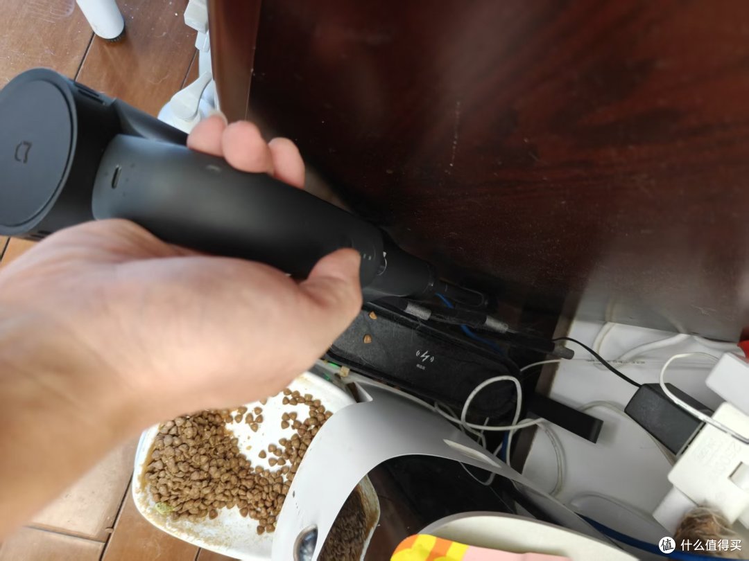 猫狗家庭除毛实战!用吸尘器3分钟搞定
