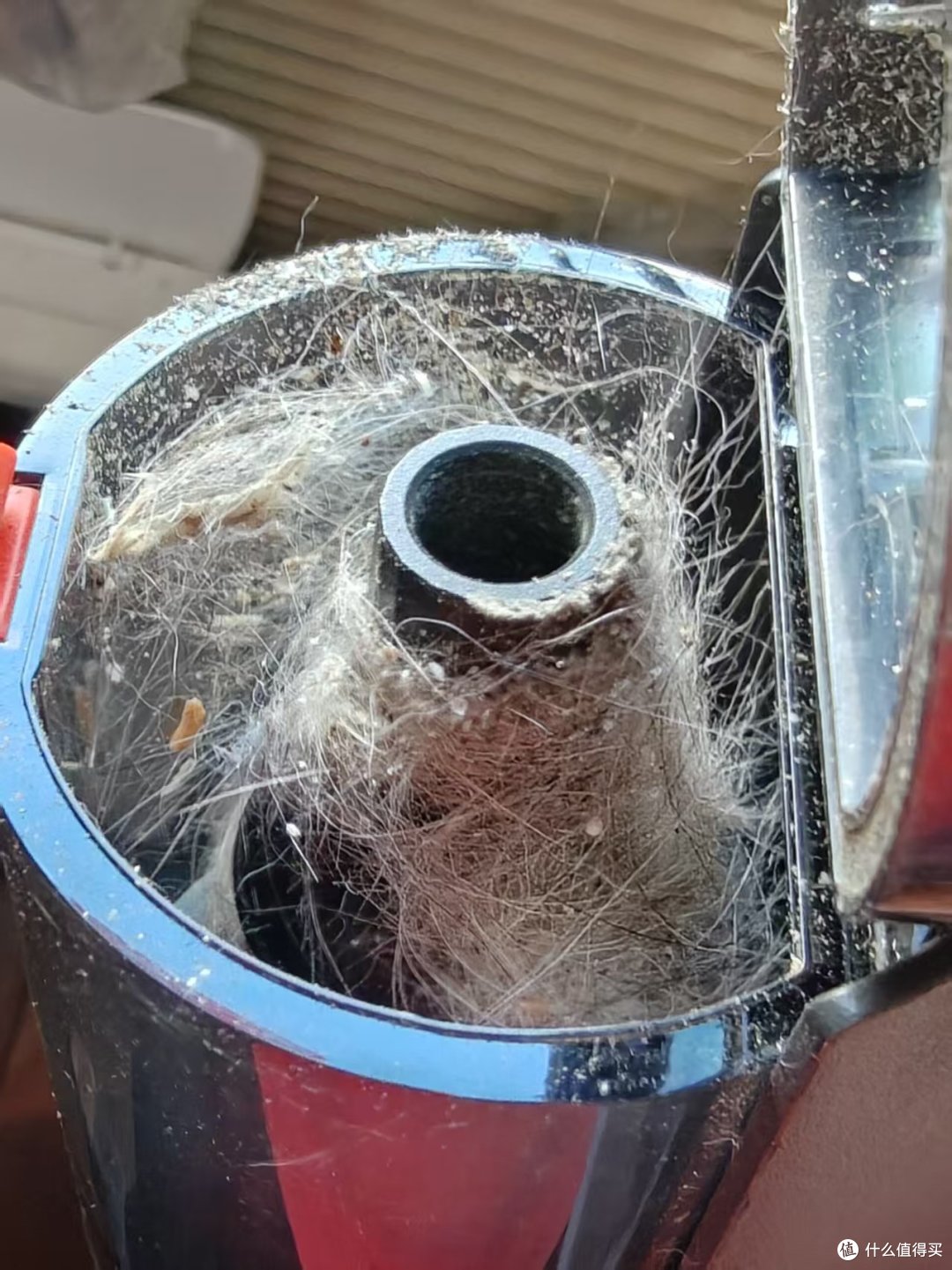 猫狗家庭除毛实战!用吸尘器3分钟搞定