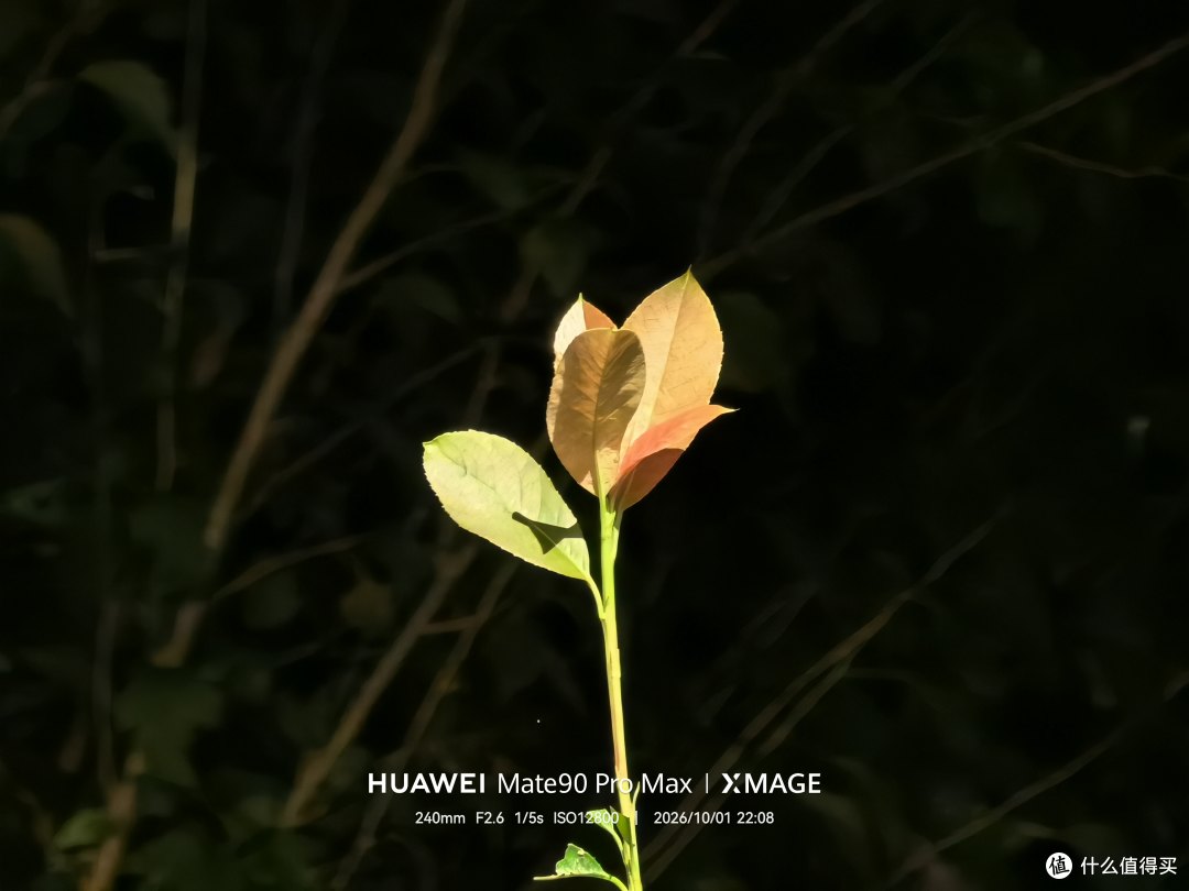 9999元上手Mate90 Pro Max 麒麟9050 Pro初体验